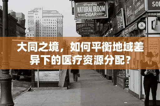 大同之境，如何平衡地域差异下的医疗资源分配？