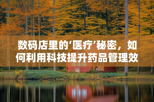 数码店里的‘医疗’秘密，如何利用科技提升药品管理效率？