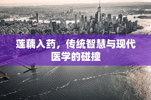 莲藕入药，传统智慧与现代医学的碰撞