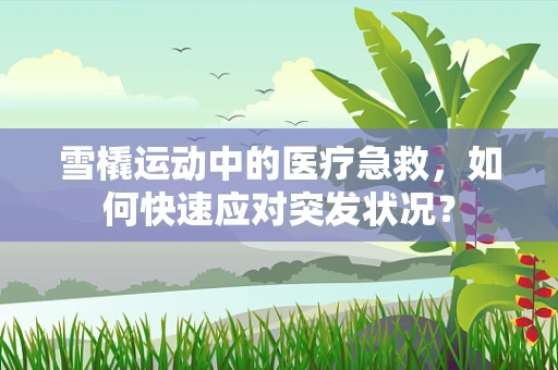 雪橇运动中的医疗急救，如何快速应对突发状况？