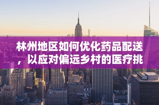 林州地区如何优化药品配送，以应对偏远乡村的医疗挑战？
