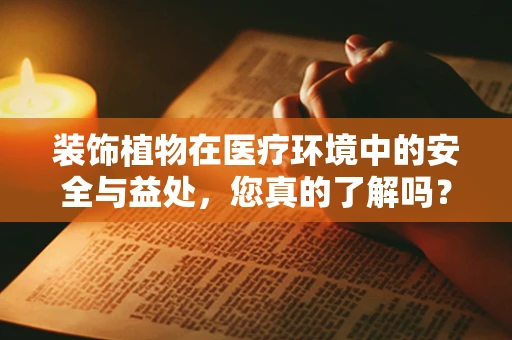 装饰植物在医疗环境中的安全与益处，您真的了解吗？