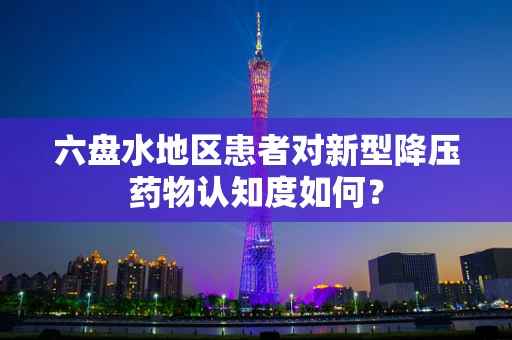 六盘水地区患者对新型降压药物认知度如何？