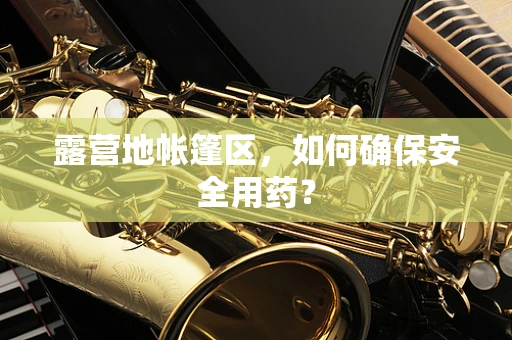 露营地帐篷区，如何确保安全用药？