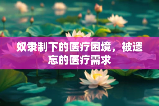 奴隶制下的医疗困境，被遗忘的医疗需求