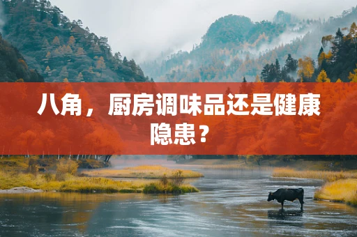 八角，厨房调味品还是健康隐患？