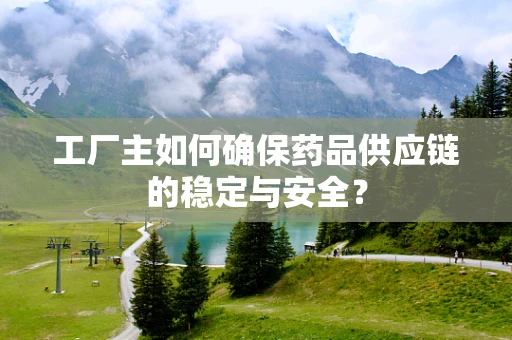 工厂主如何确保药品供应链的稳定与安全？