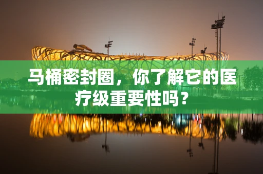 马桶密封圈，你了解它的医疗级重要性吗？