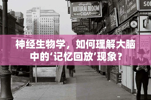 神经生物学，如何理解大脑中的‘记忆回放’现象？