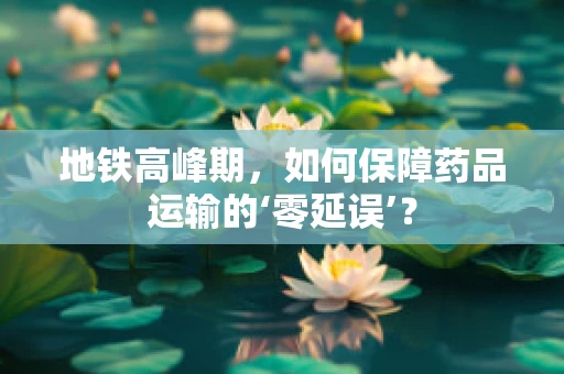 地铁高峰期，如何保障药品运输的‘零延误’？