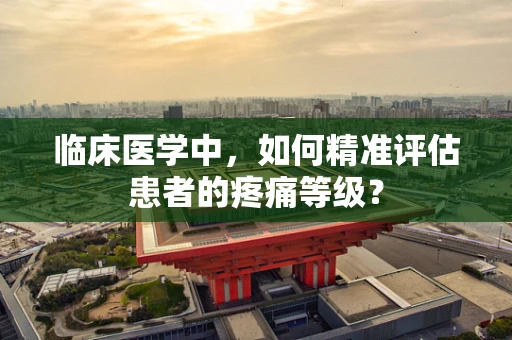 临床医学中，如何精准评估患者的疼痛等级？