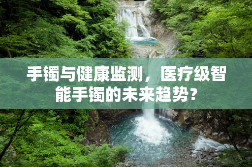 手镯与健康监测，医疗级智能手镯的未来趋势？