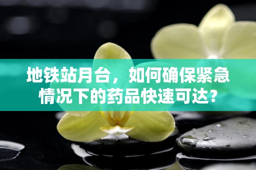 地铁站月台，如何确保紧急情况下的药品快速可达？