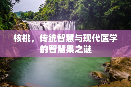 核桃，传统智慧与现代医学的智慧果之谜