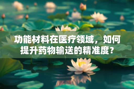 功能材料在医疗领域，如何提升药物输送的精准度？