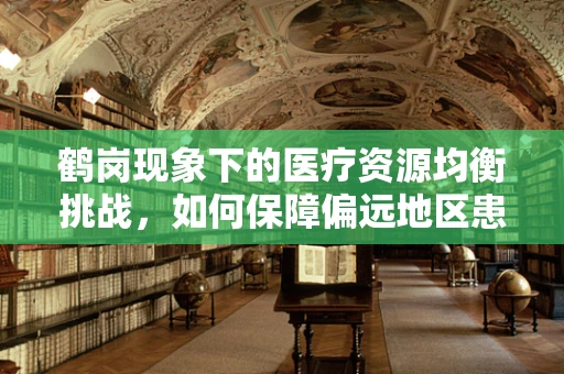 鹤岗现象下的医疗资源均衡挑战，如何保障偏远地区患者的用药需求？
