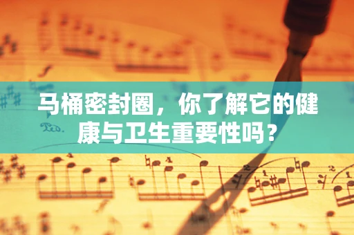 马桶密封圈，你了解它的健康与卫生重要性吗？